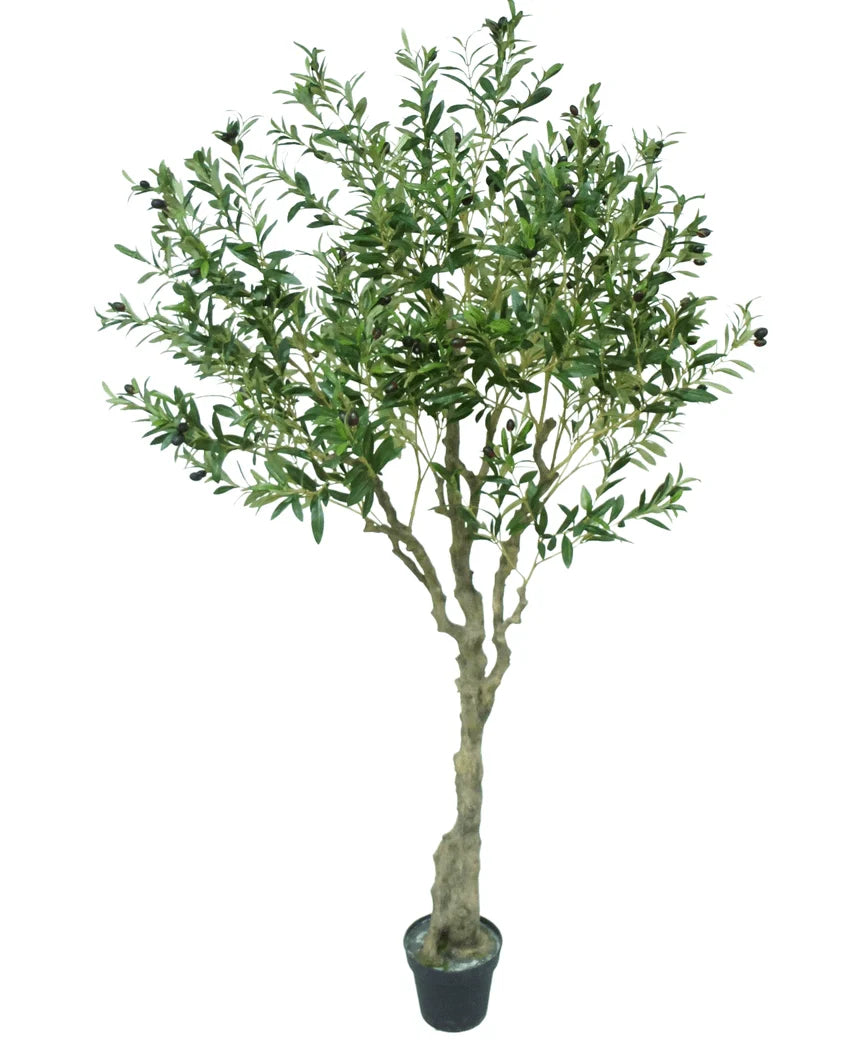 Kunstig Oliventræ 200 cm