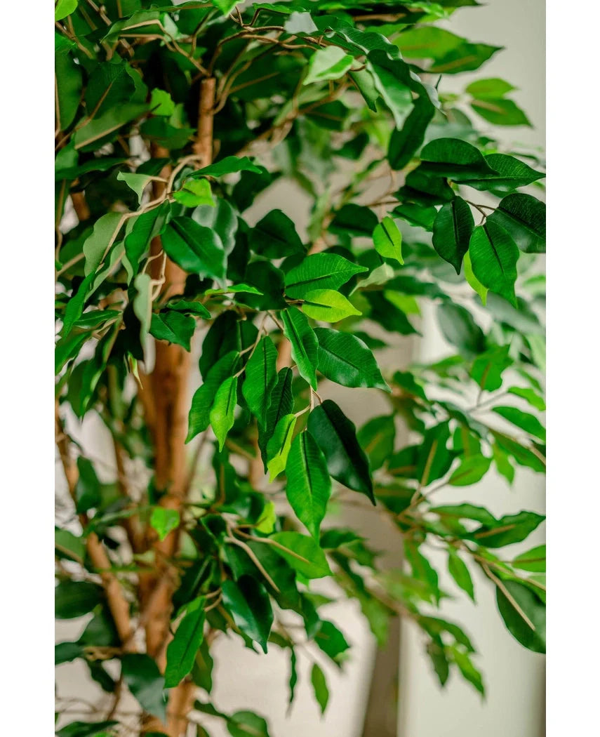 Kunstig plante – Ficus Grøn 180 cm