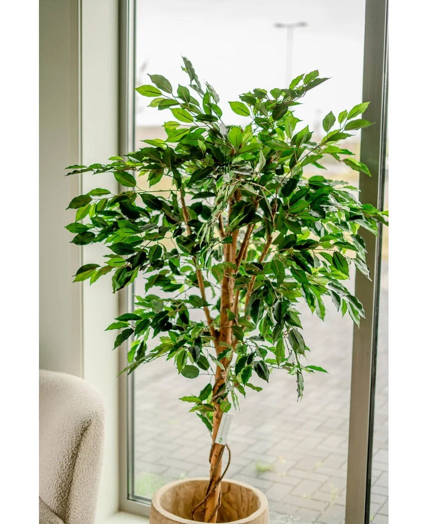 Kunstig plante – Ficus Grøn 180 cm
