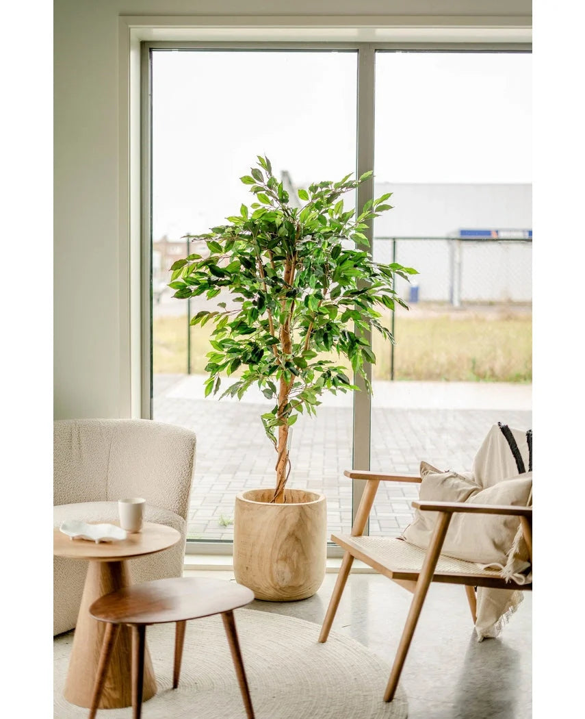 Kunstig plante – Ficus Grøn 180 cm