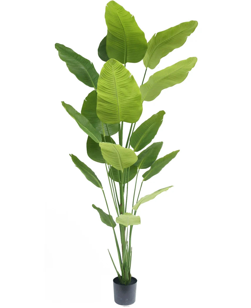Kunstig plante – Strelitzia 240 cm (Real Touch)