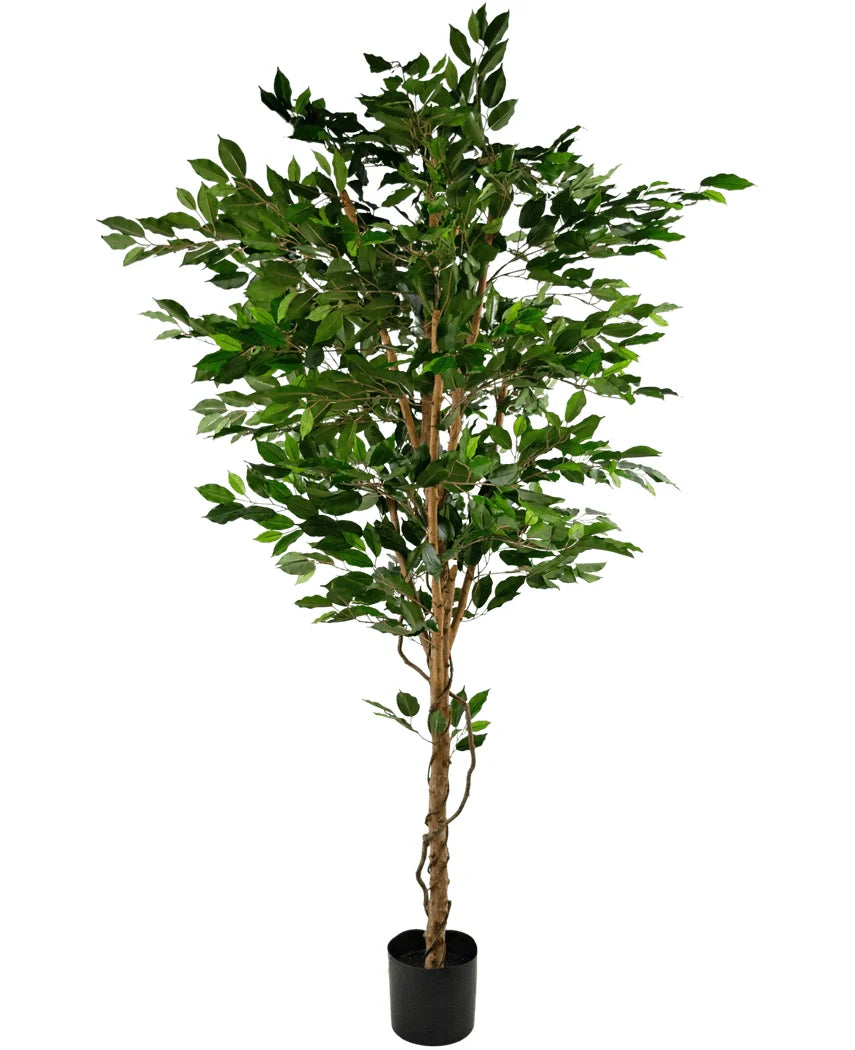 Kunstig plante – Ficus Grøn 210 cm