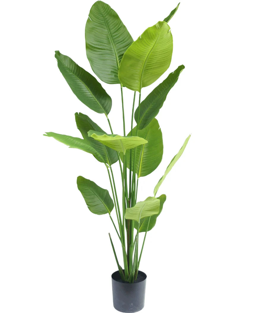 Kunstig plante – Strelitzia 180 cm (Real Touch)