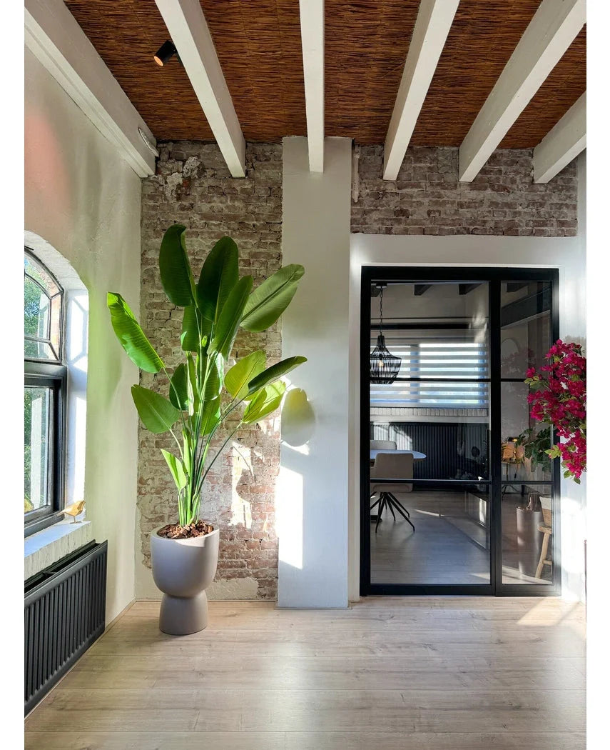 Kunstig plante – Strelitzia 210 cm (Real Touch)