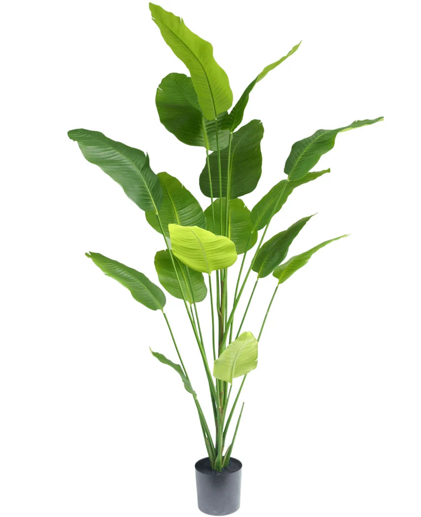 Kunstig plante – Strelitzia 210 cm (Real Touch)
