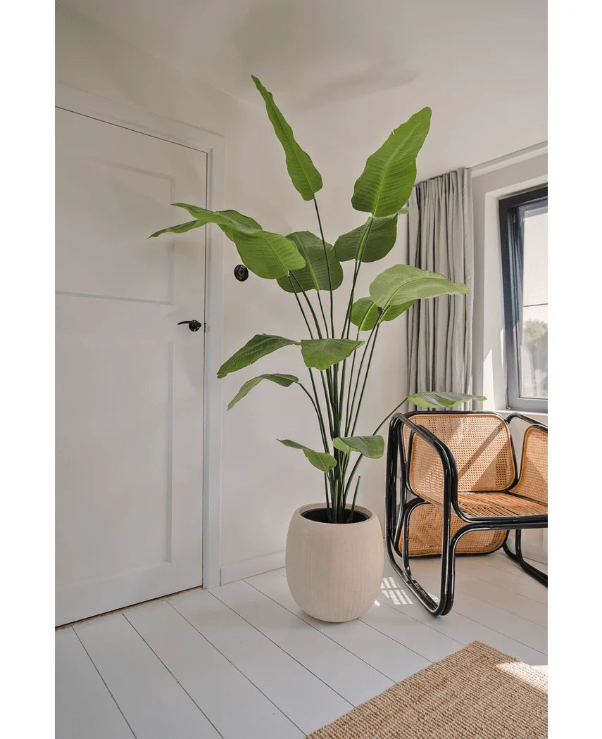 Kunstig plante – Strelitzia 210 cm (Real Touch)