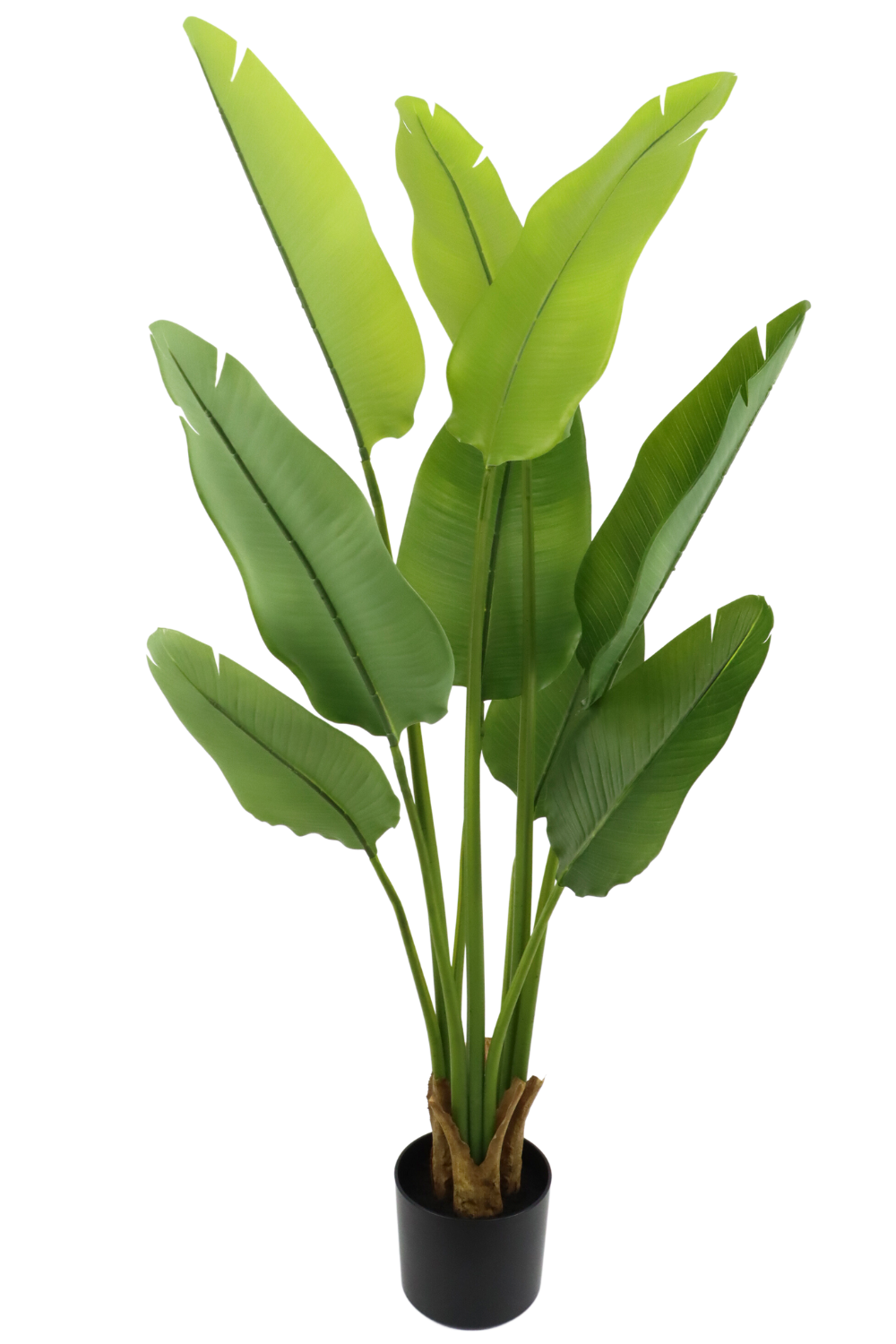 Kunstig plante – Strelitzia 120 cm