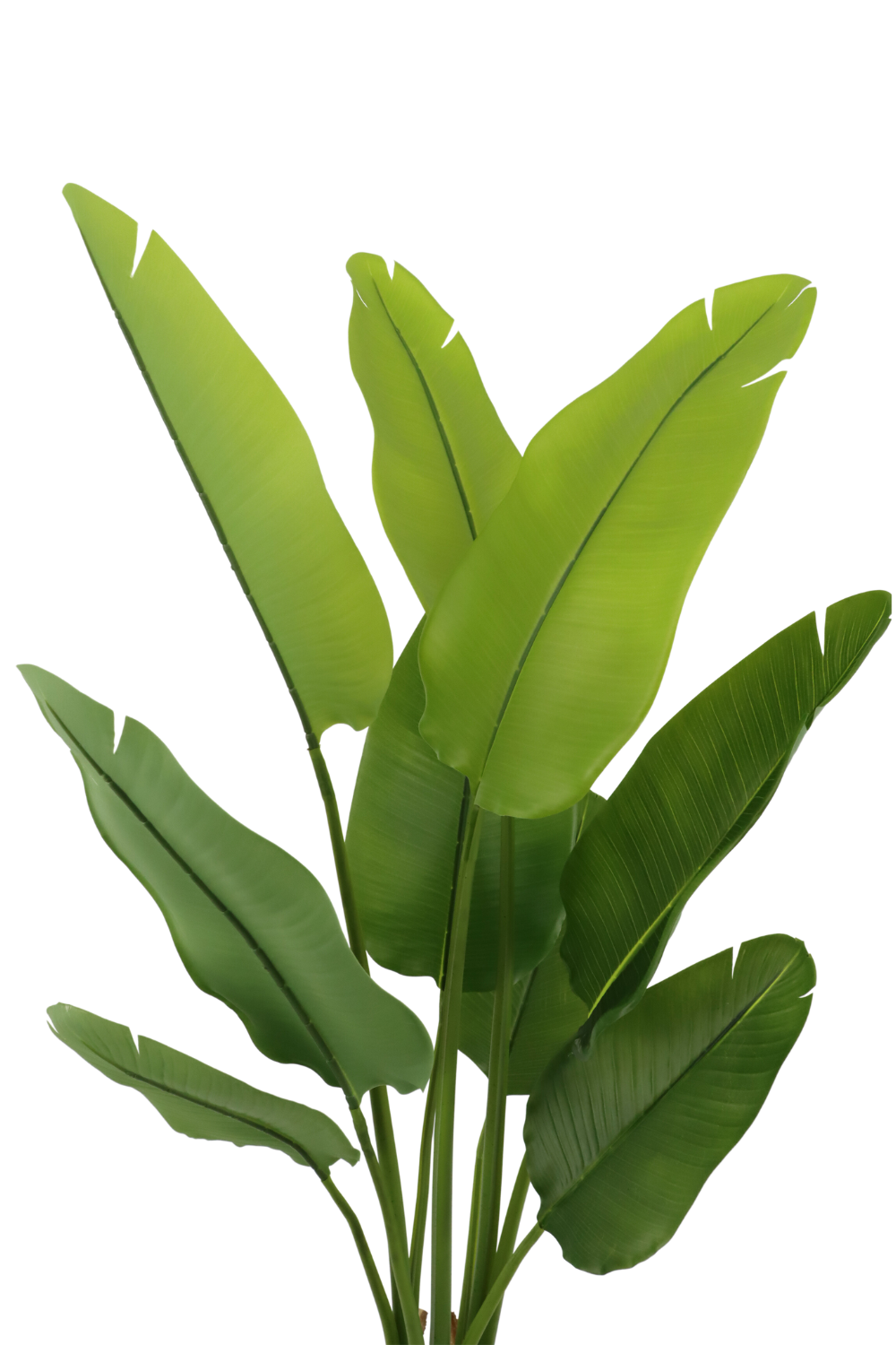 Kunstig plante – Strelitzia 120 cm